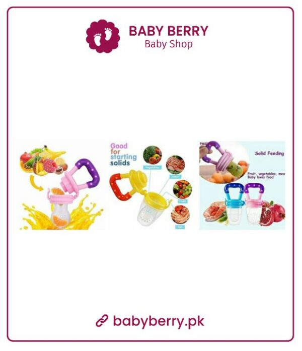 Fruit Pacifier Fruit Choosni For Starting Food