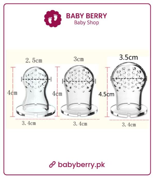 Fruit Pacifier Fruit Choosni For Starting Food