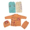 Newborn Summer Cotton Pack of 3 Dresses 5